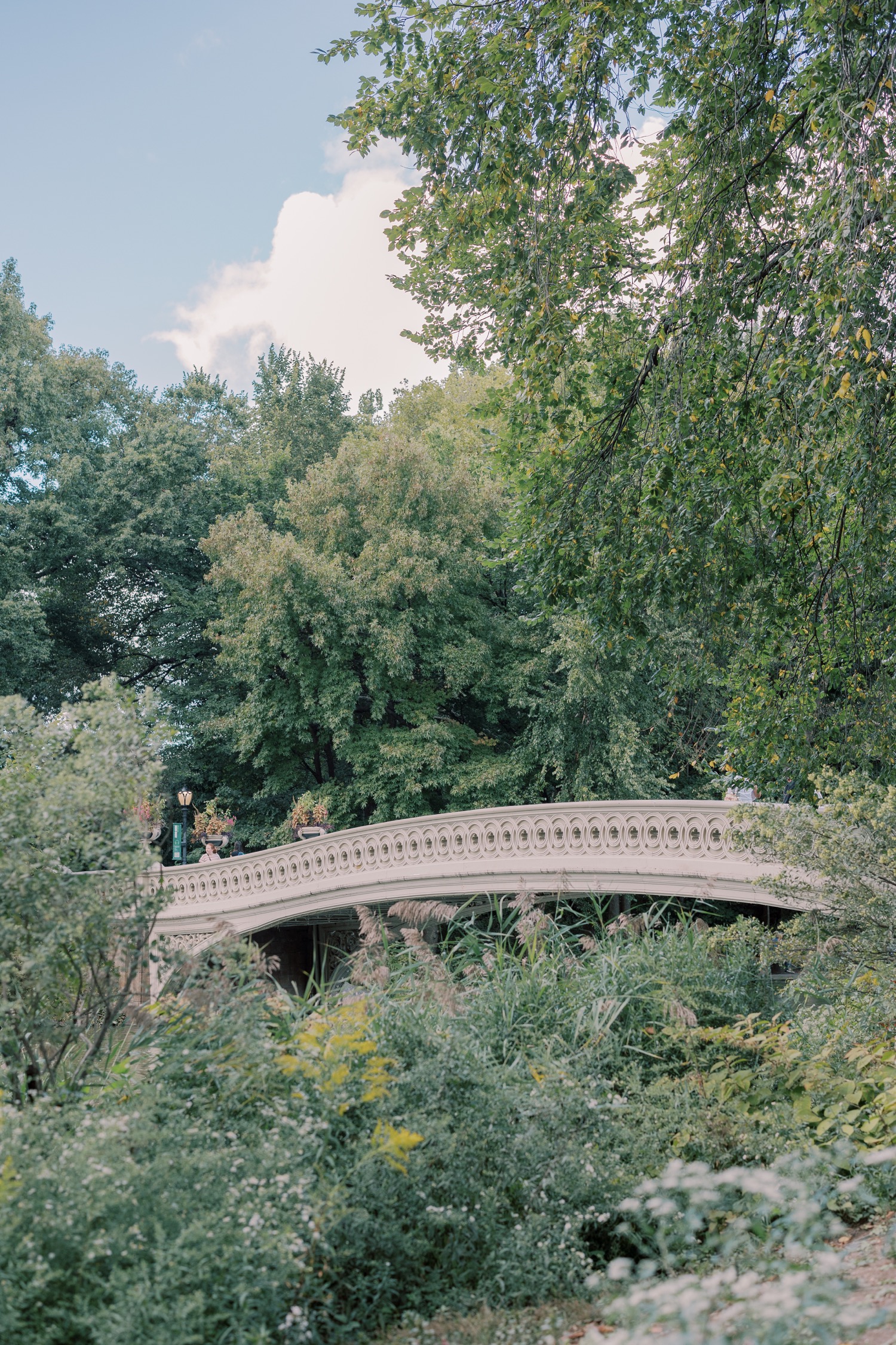 Timeless New York Engagement in Central Park